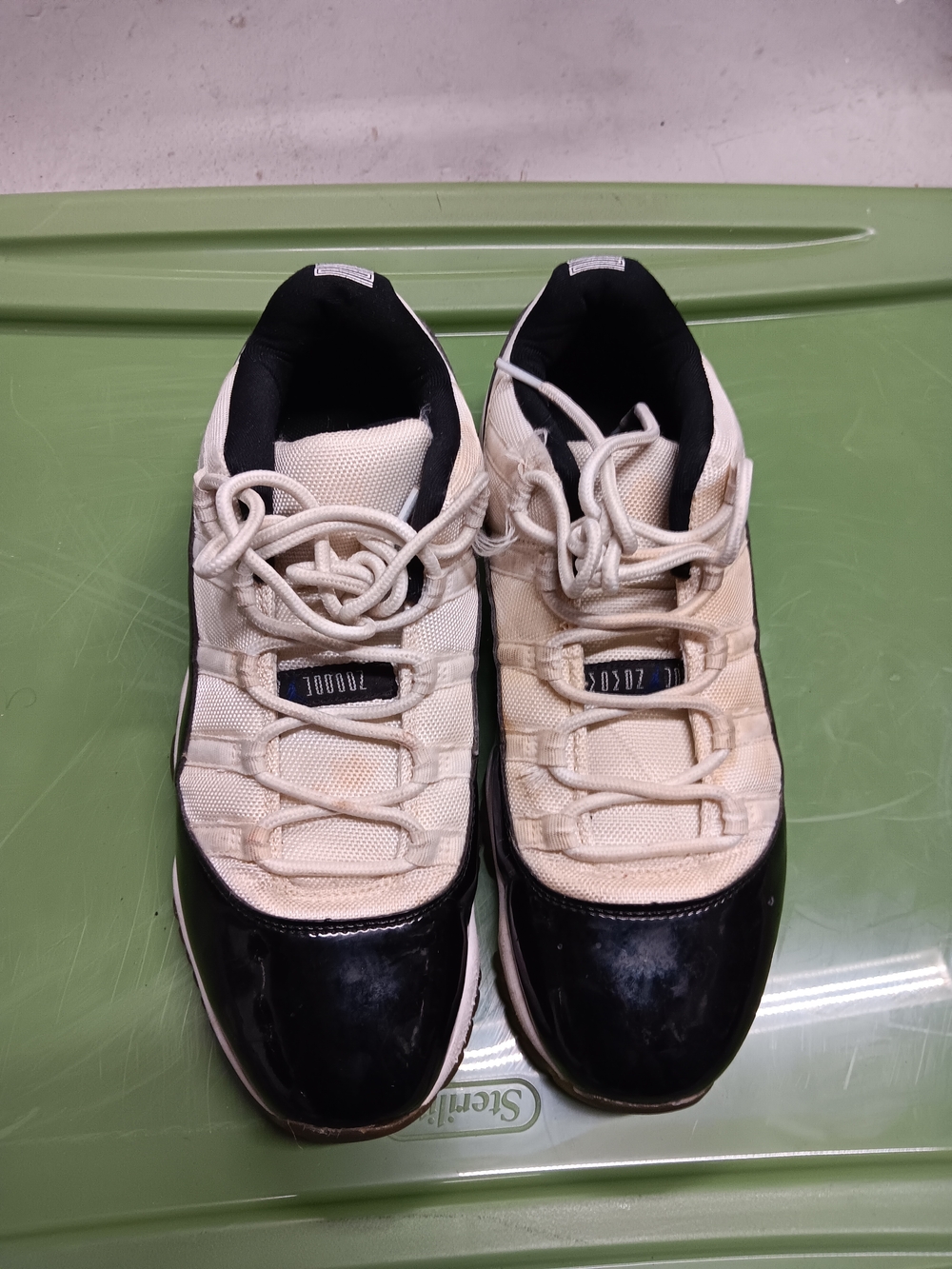 Jordan 11 Lows
